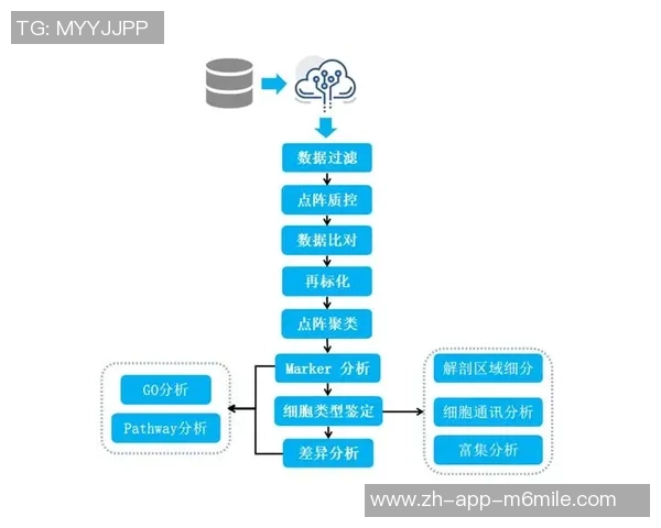 重庆滑板队意识表现的数据分析与提升策略探讨