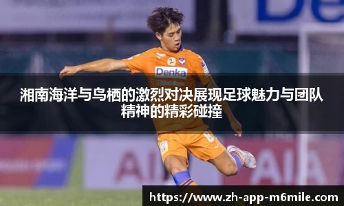 米乐M6官网