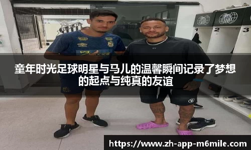 米乐M6官方网站