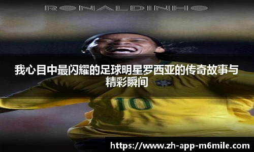 米乐M6官方网站