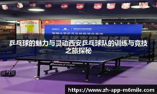 米乐M6官方网站